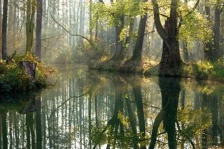 Spreewald Fließ